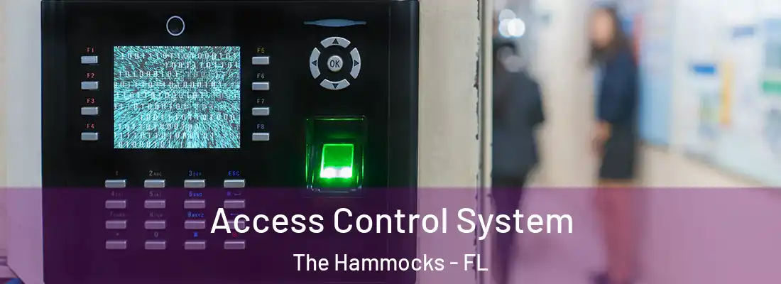 Access Control System The Hammocks - FL