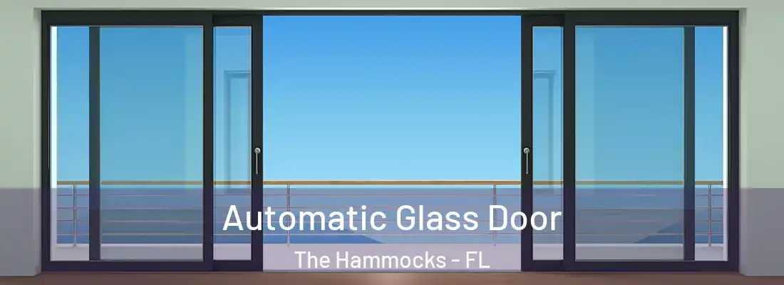 Automatic Glass Door The Hammocks - FL