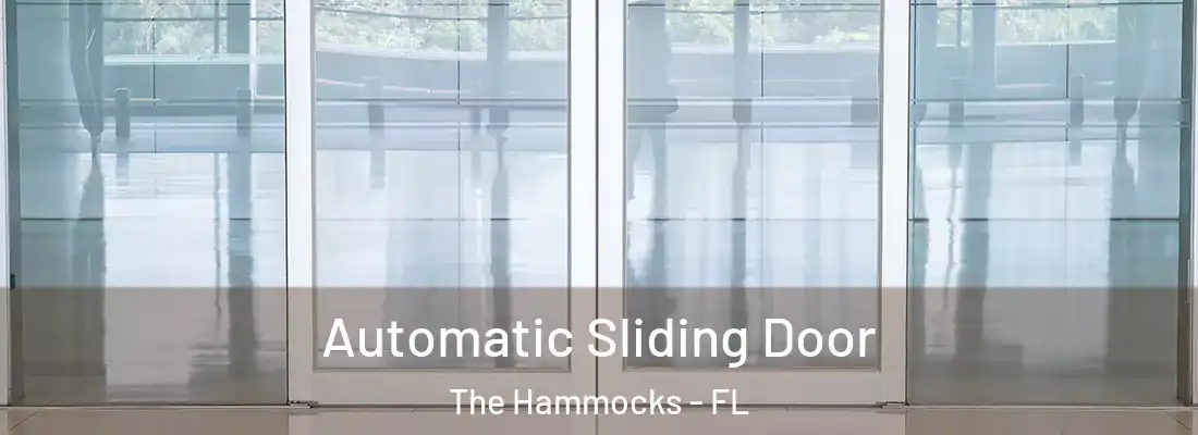 Automatic Sliding Door The Hammocks - FL