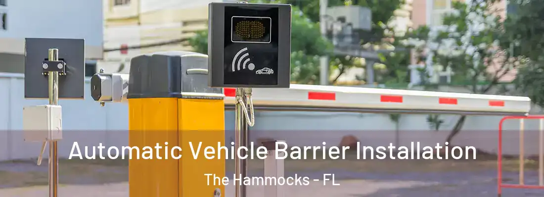 Automatic Vehicle Barrier Installation The Hammocks - FL