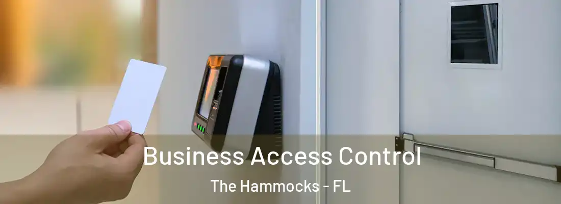 Business Access Control The Hammocks - FL
