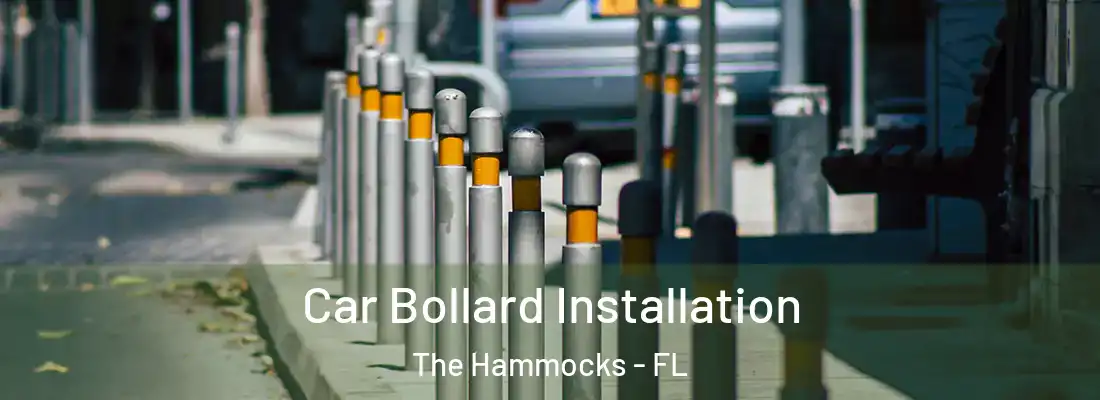 Car Bollard Installation The Hammocks - FL