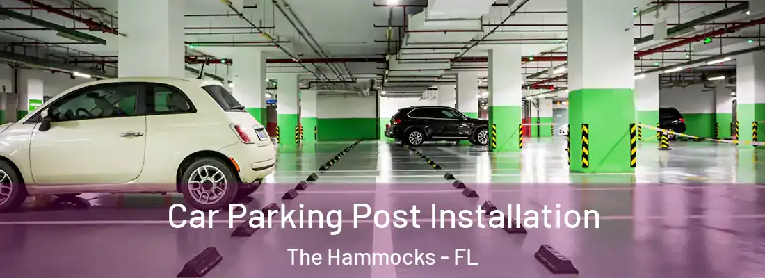 Car Parking Post Installation The Hammocks - FL