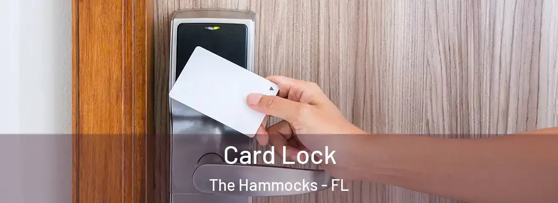 Card Lock The Hammocks - FL