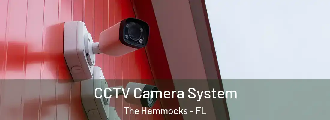 CCTV Camera System The Hammocks - FL