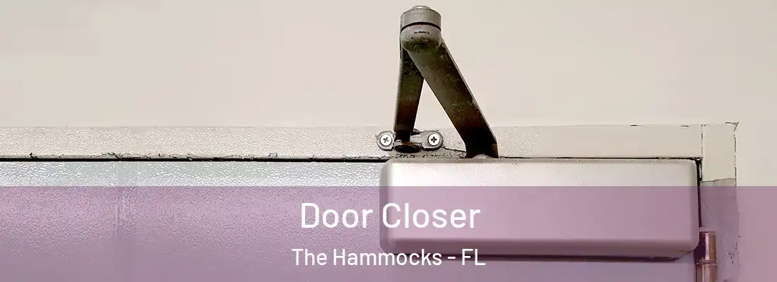 Door Closer The Hammocks - FL