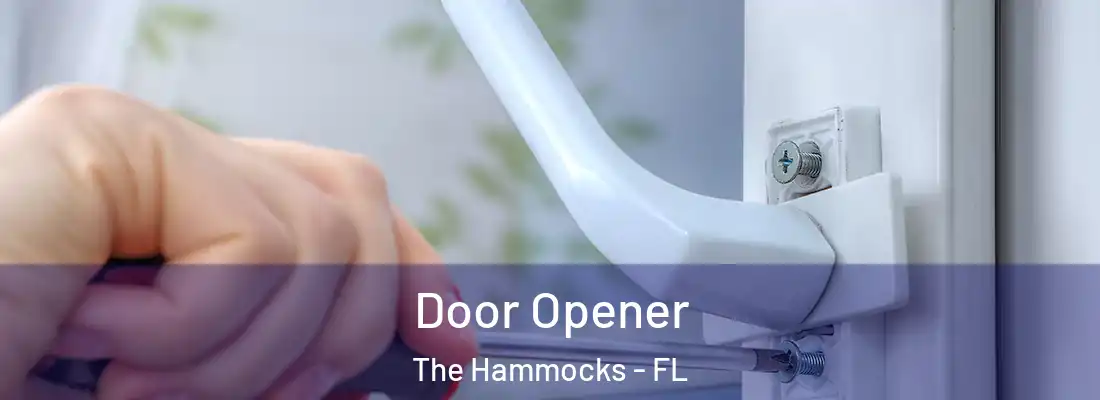 Door Opener The Hammocks - FL