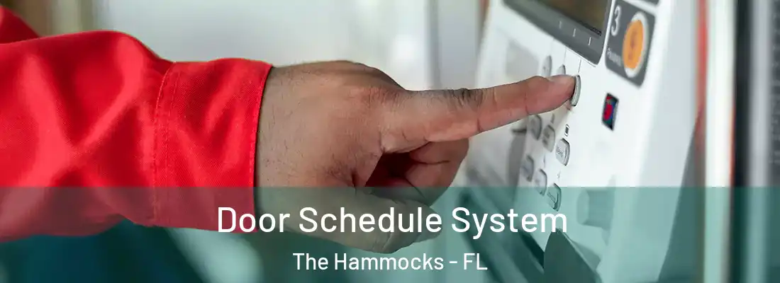 Door Schedule System The Hammocks - FL