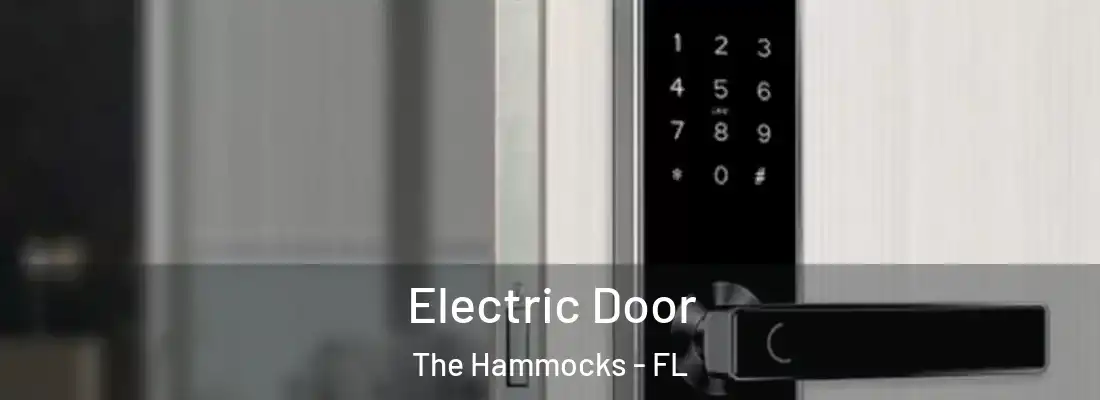 Electric Door The Hammocks - FL