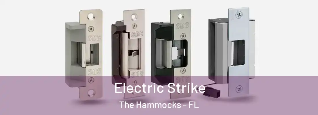 Electric Strike The Hammocks - FL