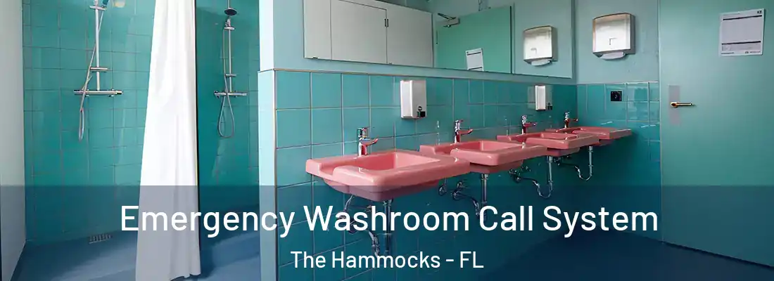 Emergency Washroom Call System The Hammocks - FL