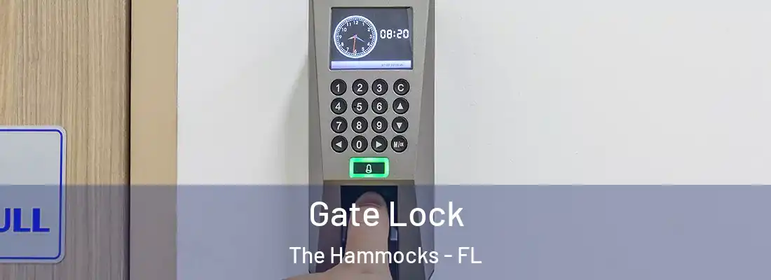 Gate Lock The Hammocks - FL