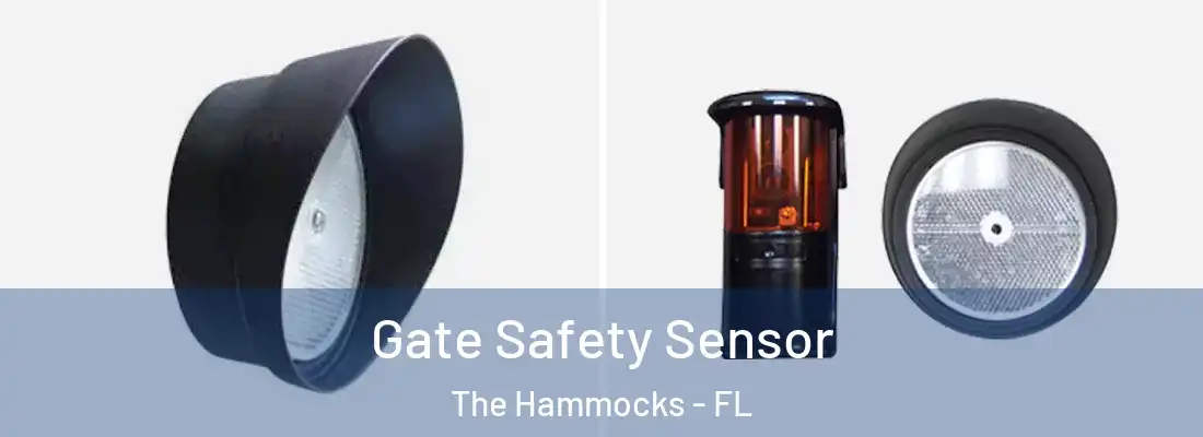 Gate Safety Sensor The Hammocks - FL