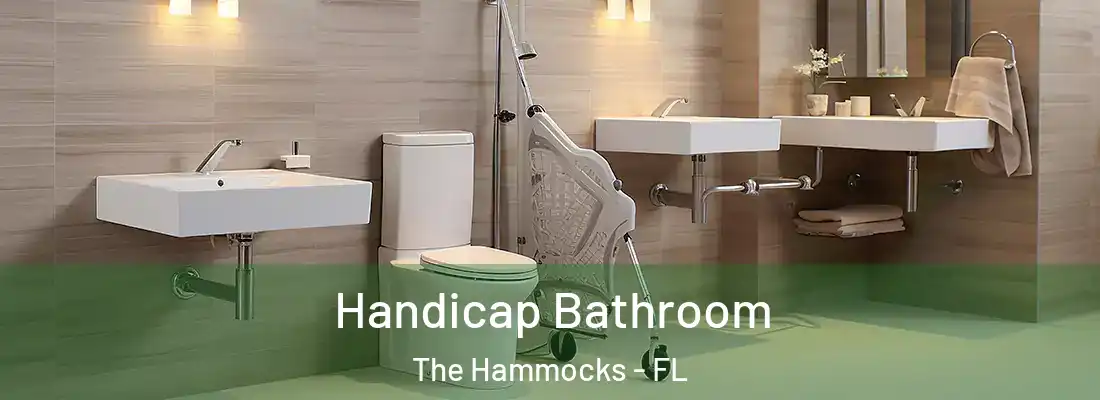 Handicap Bathroom The Hammocks - FL