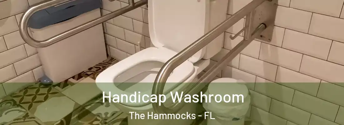 Handicap Washroom The Hammocks - FL