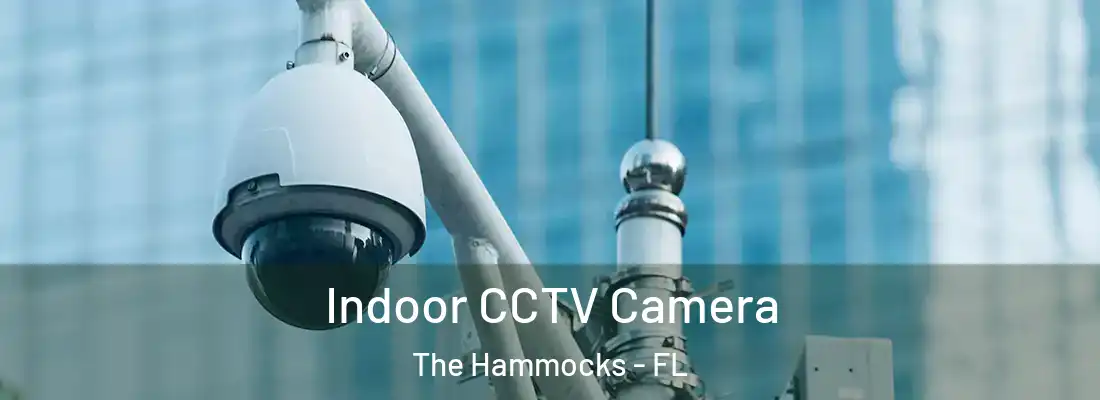 Indoor CCTV Camera The Hammocks - FL