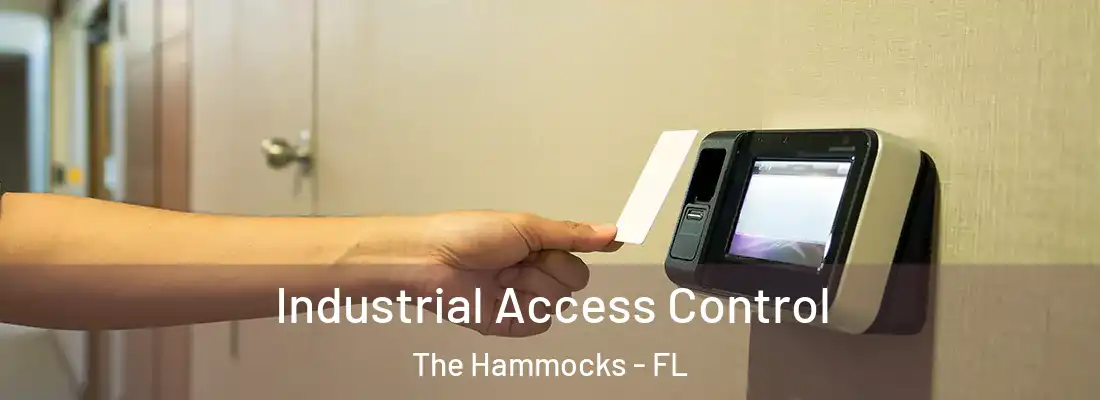 Industrial Access Control The Hammocks - FL