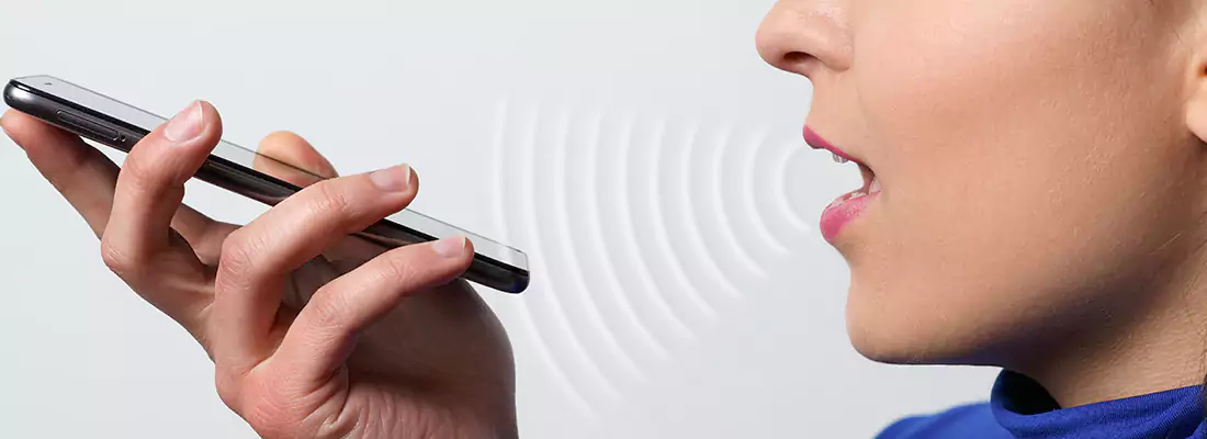 Residential and Commercial Voice Recognition Access Solutions in The Hammocks, FL