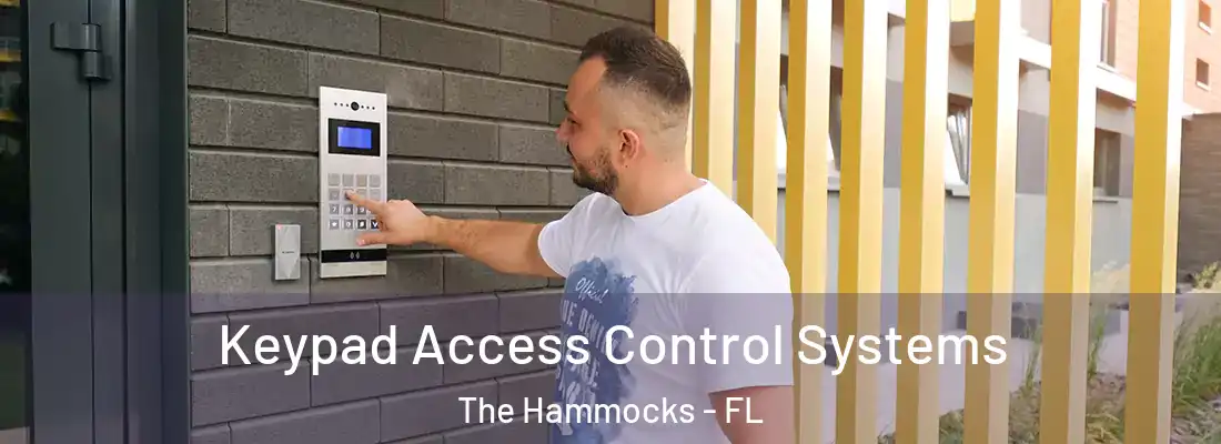  Keypad Access Control Systems The Hammocks - FL