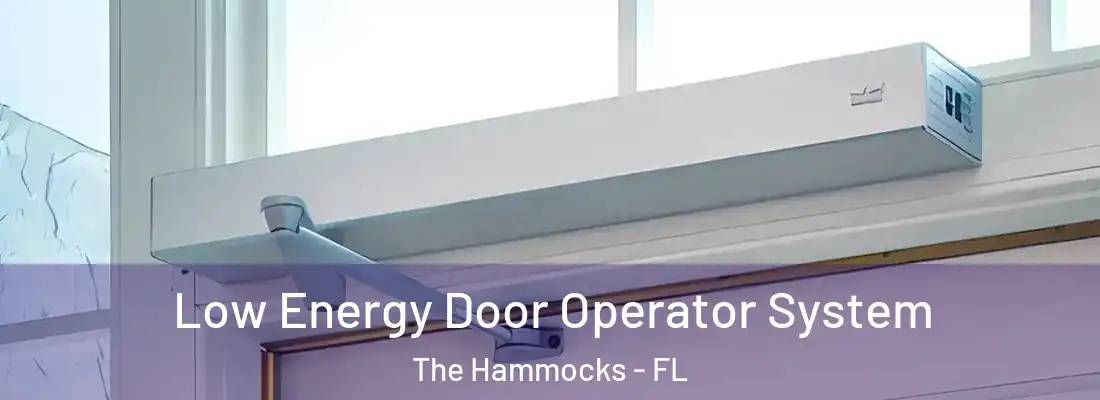 Low Energy Door Operator System The Hammocks - FL
