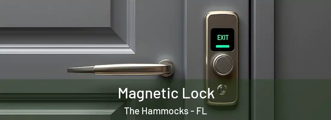 Magnetic Lock The Hammocks - FL