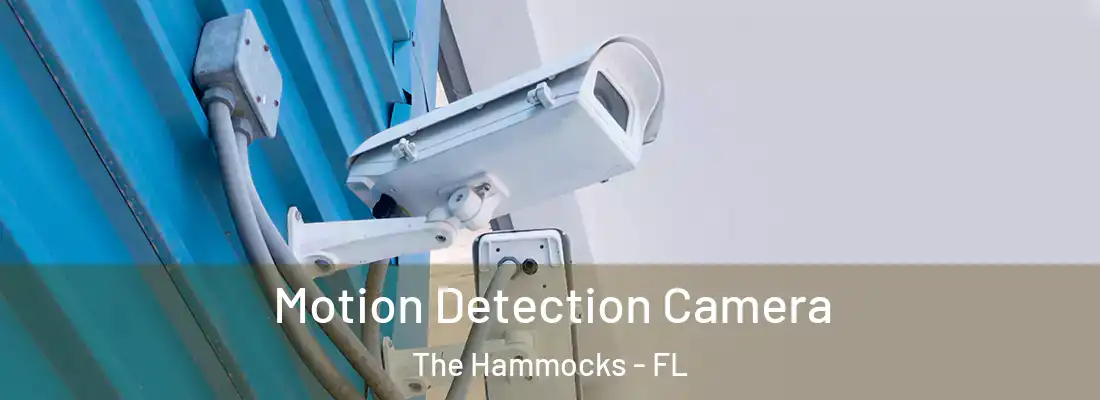  Motion Detection Camera The Hammocks - FL