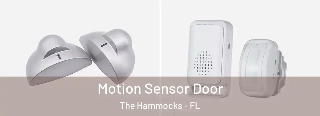 Motion Sensor Door The Hammocks - FL