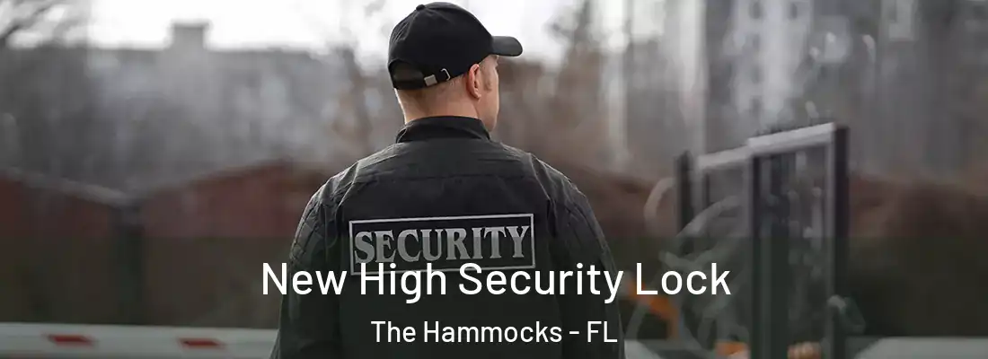 New High Security Lock The Hammocks - FL