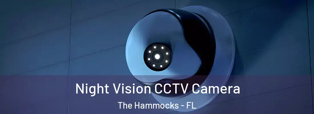 Night Vision CCTV Camera The Hammocks - FL