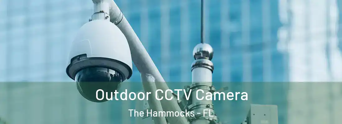 Outdoor CCTV Camera The Hammocks - FL