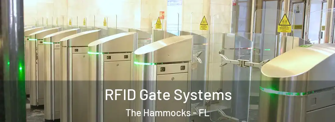 RFID Gate Systems The Hammocks - FL