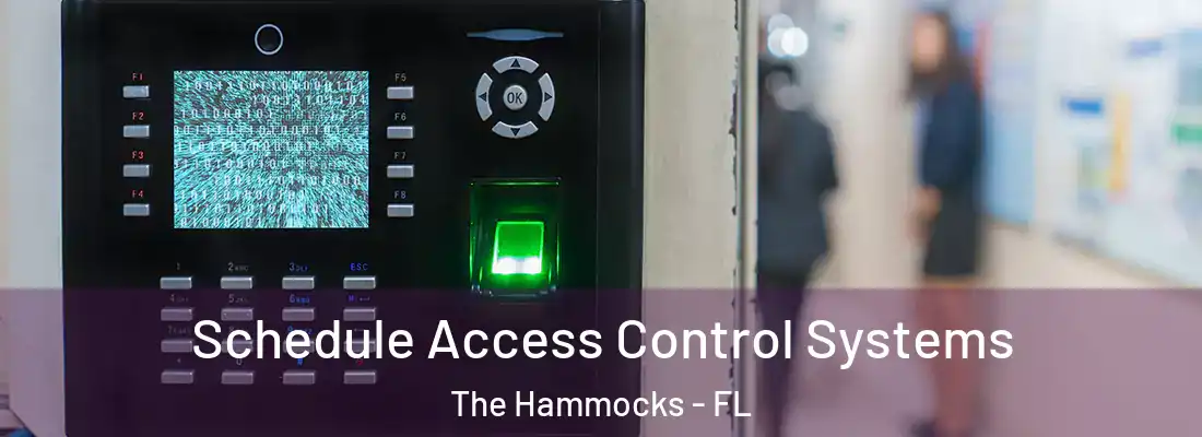  Schedule Access Control Systems The Hammocks - FL