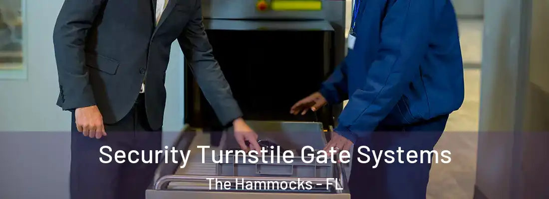 Security Turnstile Gate Systems The Hammocks - FL
